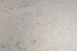NARCISSUS 24